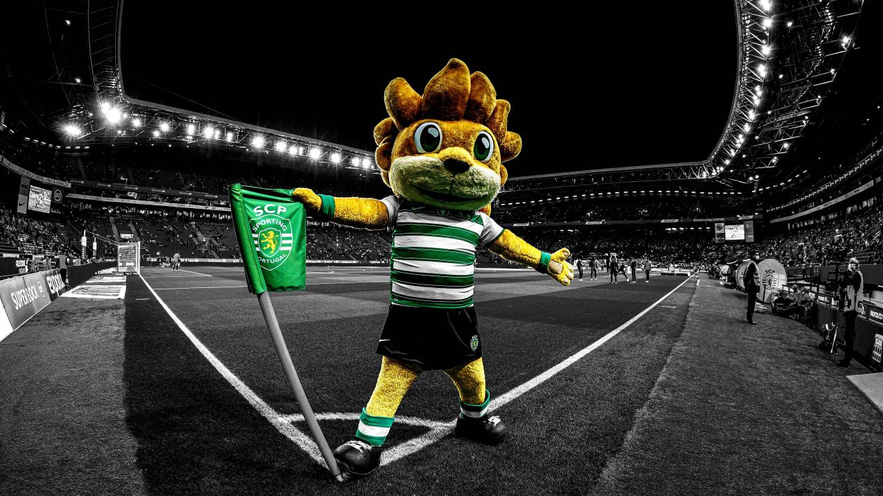 You are currently viewing Campeões 2023 / 2024