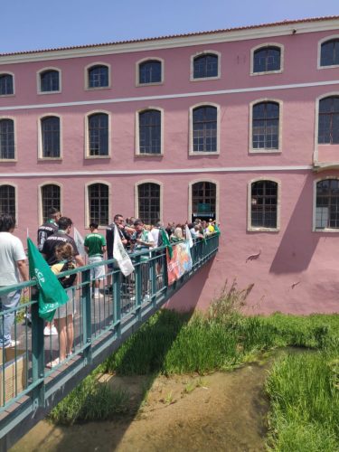 WhatsApp Image 2025-06-18 at 17.14.05